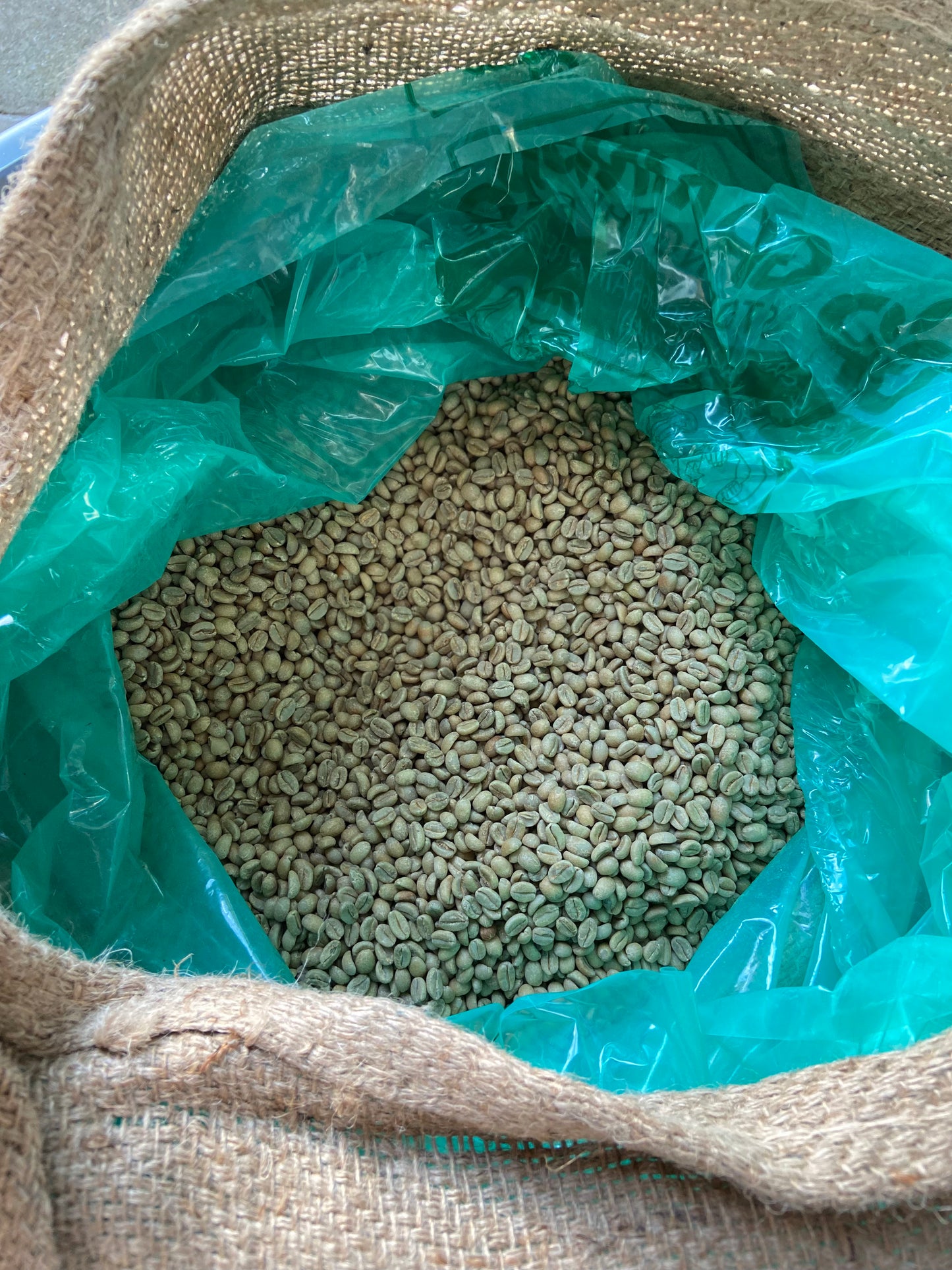 Ethiopia Guji